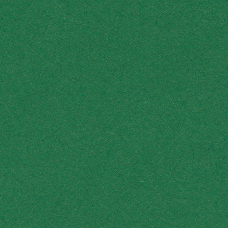 Kartongpapper, 160 g, 50x65 cm - mörkgrön  image