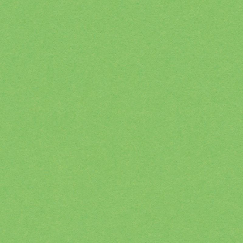 Kartongpapper, 160 g, 50x65 cm - ljusgrön  image