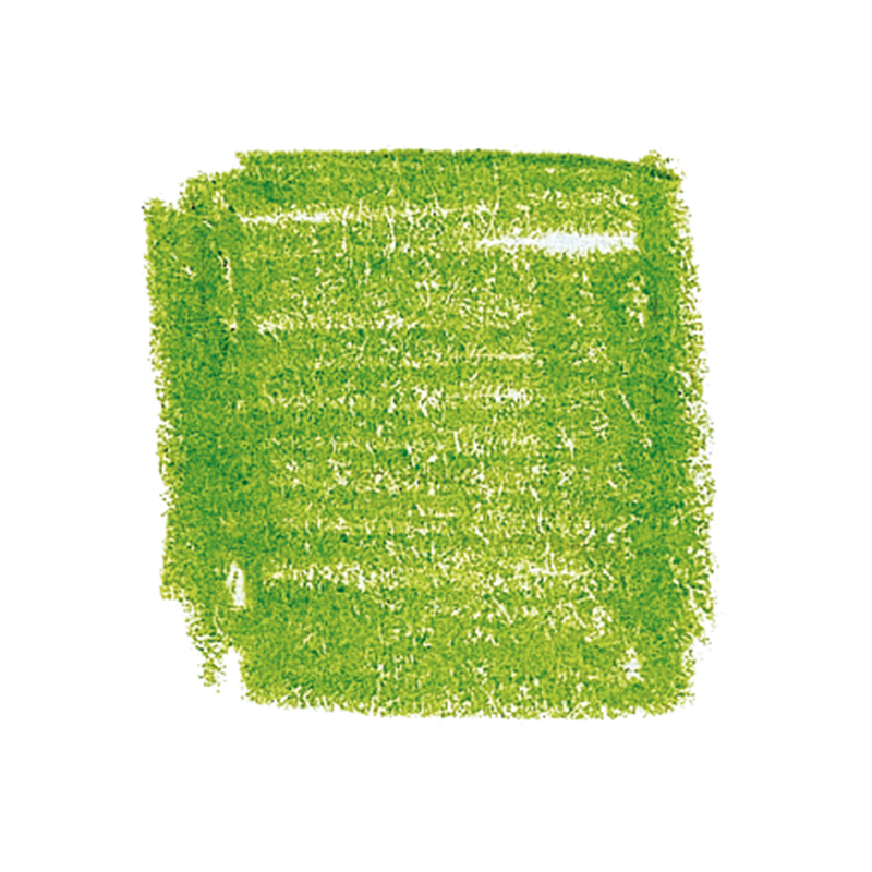 Lyra Rembrandt Polycolor, en färg,12 pennor i plastask - färg: äppelgrön image
