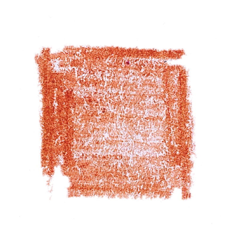 Lyra Rembrandt Aquarellpennor - en färg -12 pennor - färg: ljus hud image